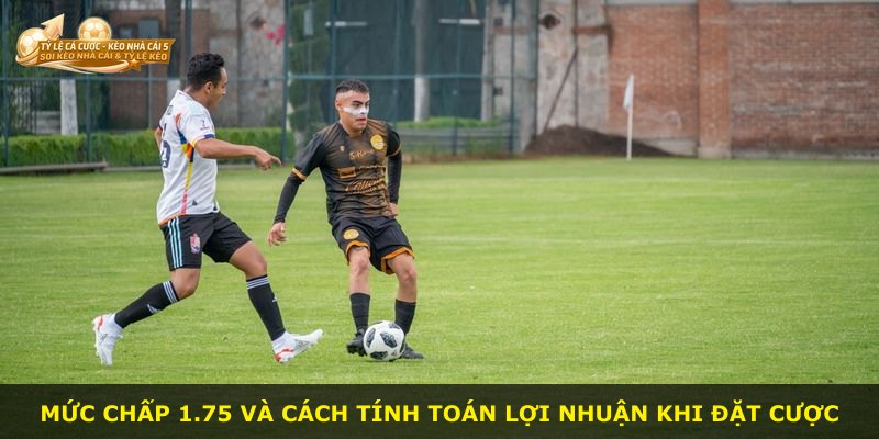 Mức chấp 1.75 và cách tính toán lợi nhuận khi đặt cược