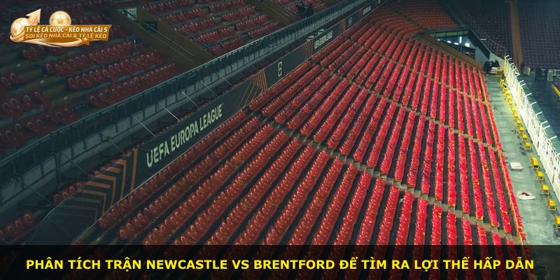 Phân tích trận Newcastle vs Brentford để tìm ra lợi thế hấp dẫn
