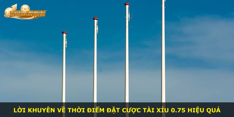 Lời khuyên về thời điểm đặt cược Tài Xỉu 0.75 hiệu quả