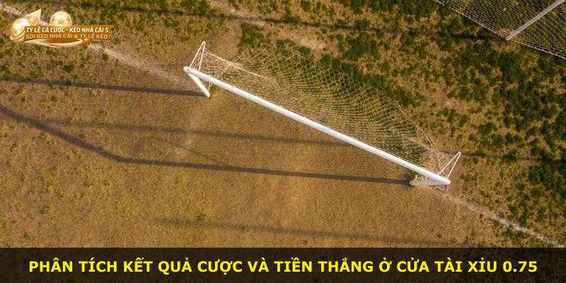 Phân tích kết quả cược và tiền thắng ở cửa Tài Xỉu 0.75
