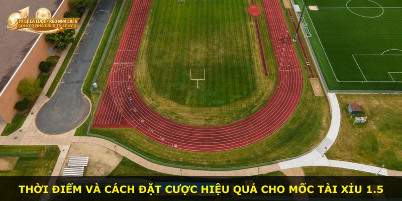 Thời điểm và cách đặt cược hiệu quả cho mốc tài xỉu 1.5